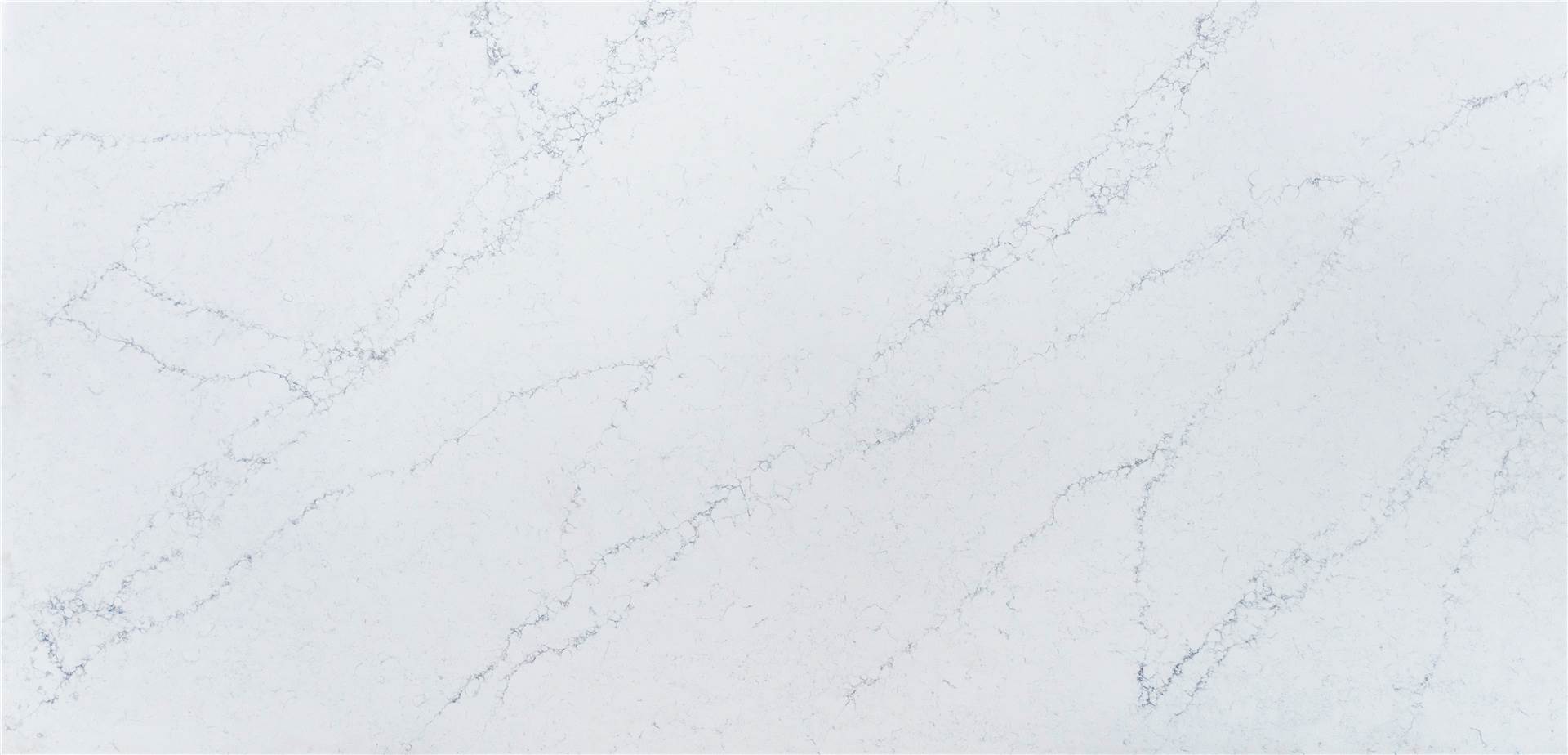Calacatta Quartz