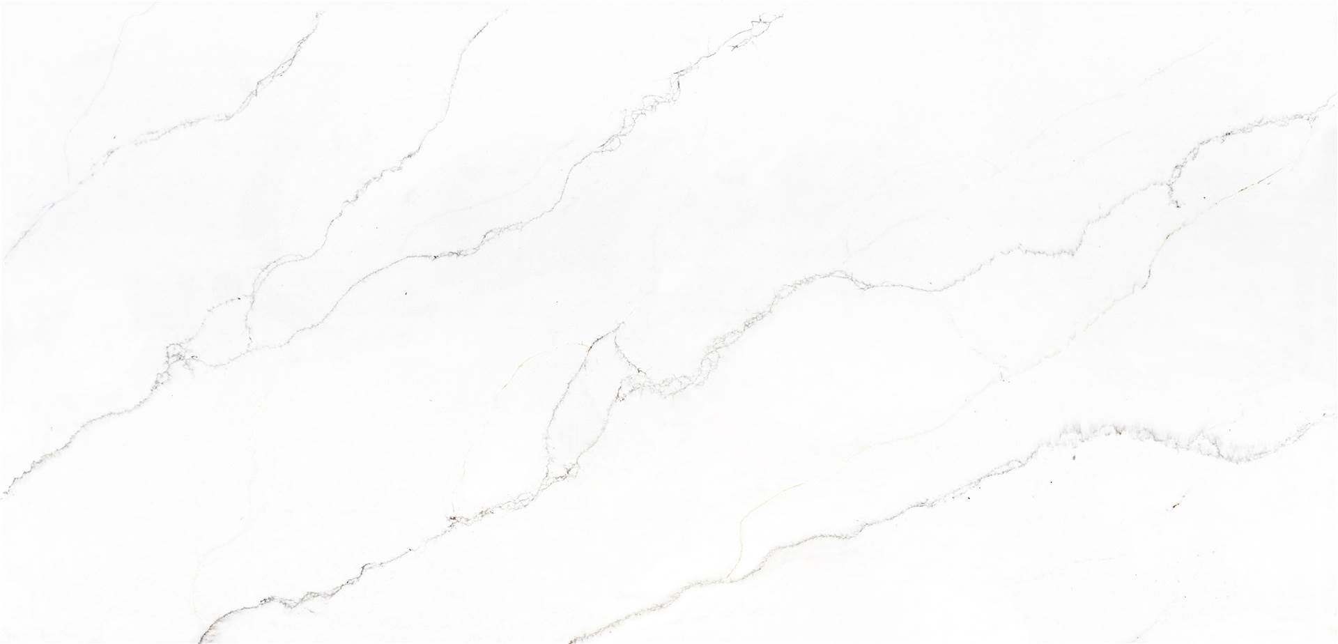 Calacatta Quartz