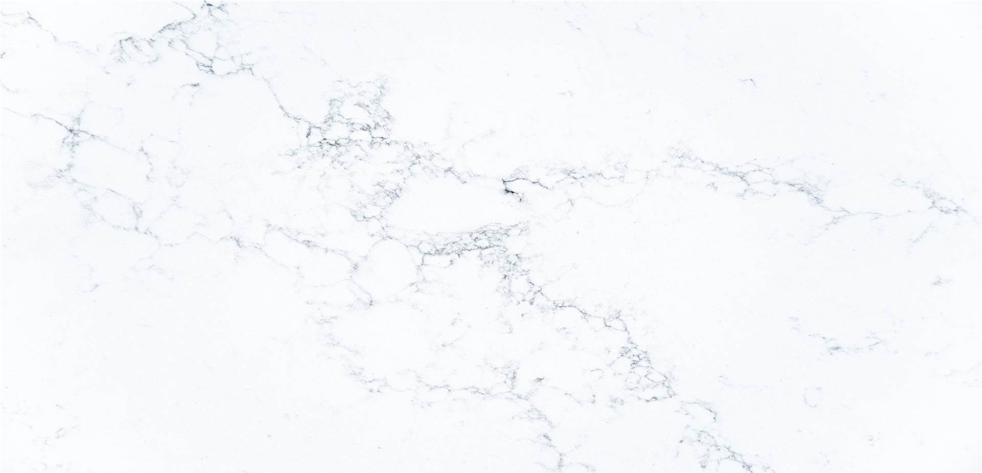 Calacatta Quartz