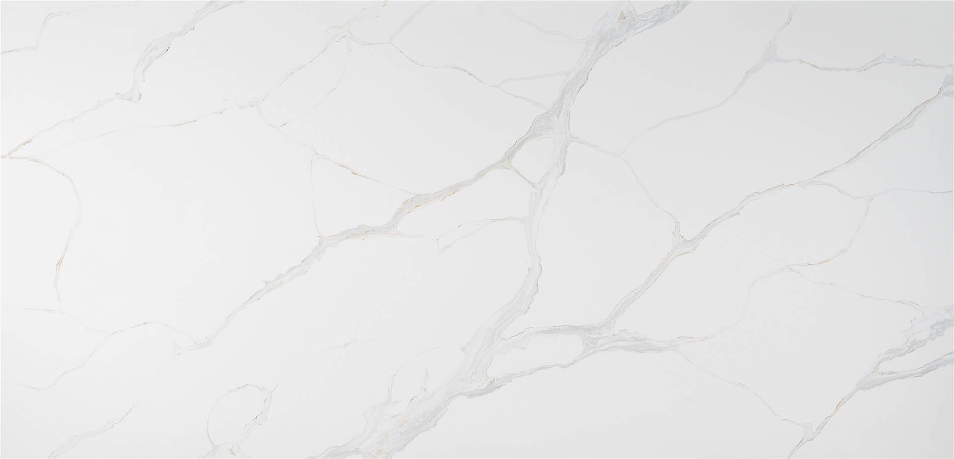 Calacatta Quartz