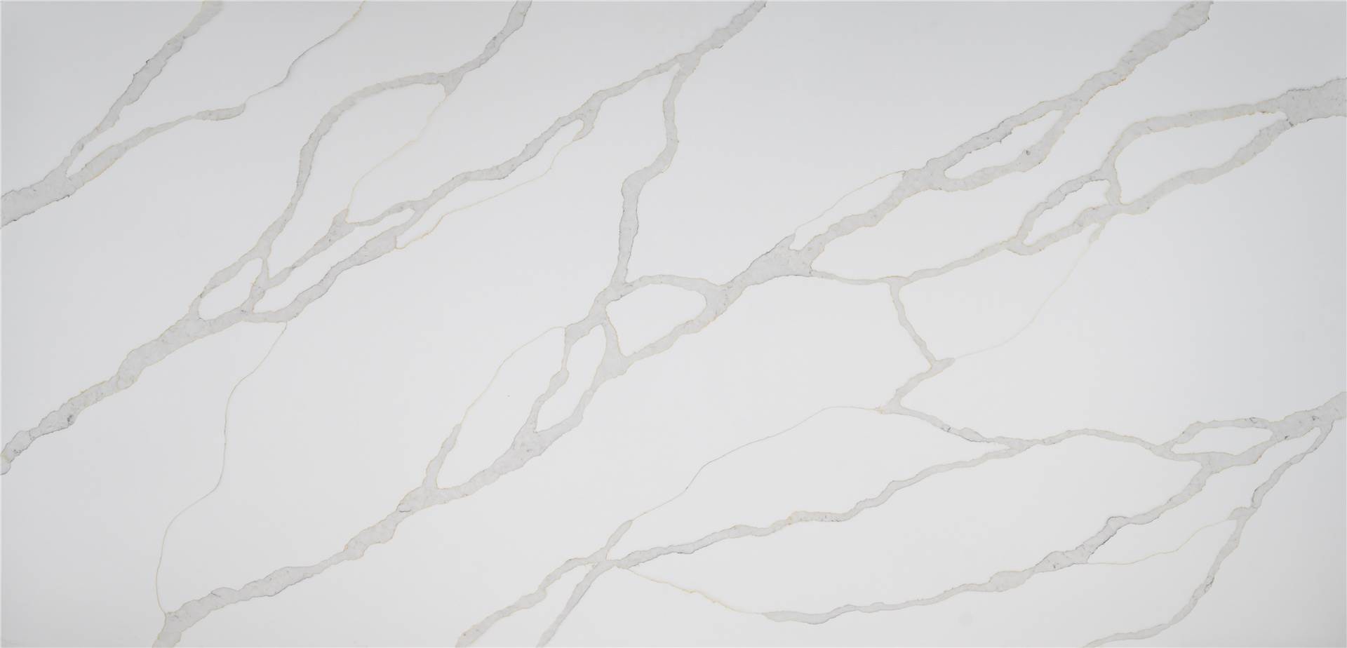 Calacatta Quartz