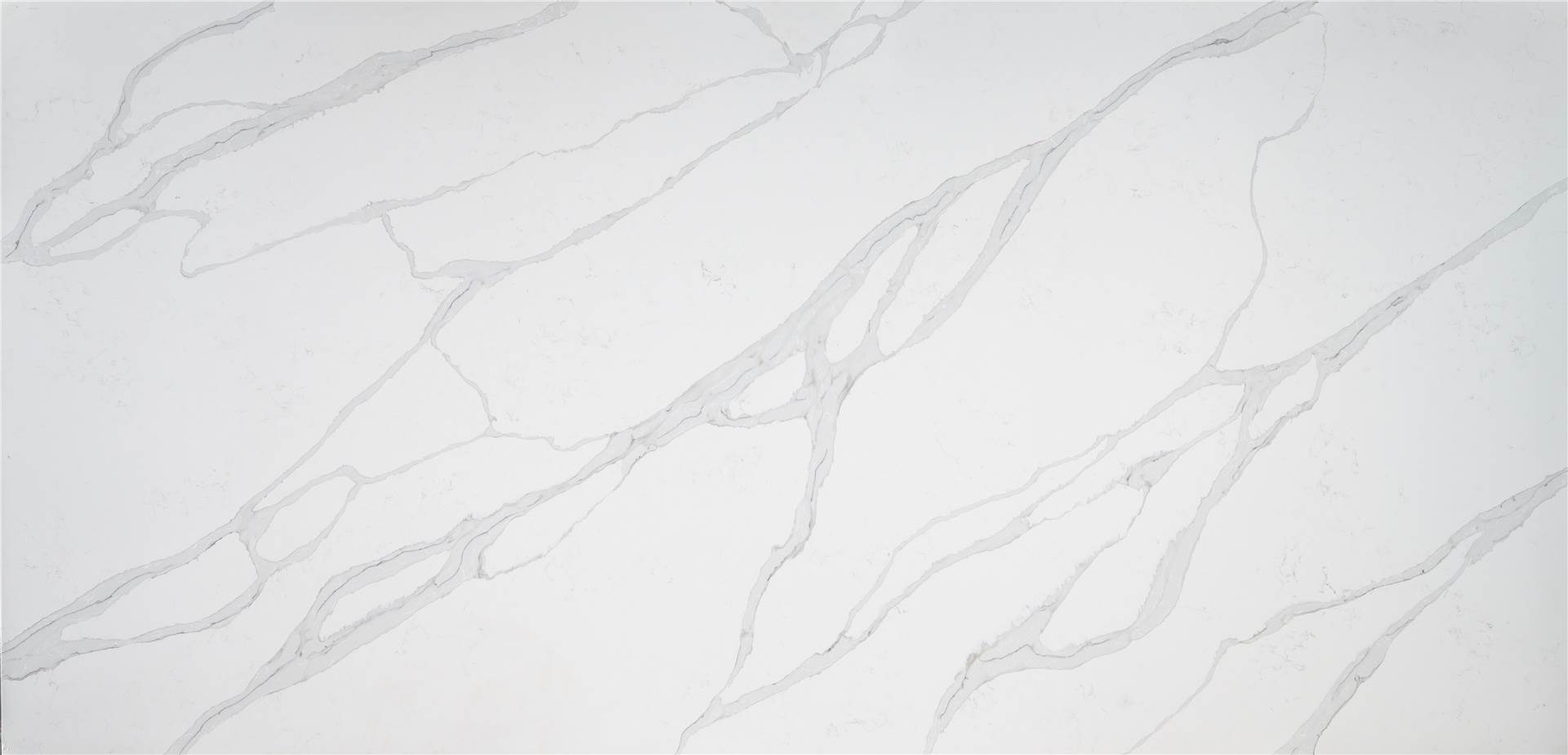Calacatta Quartz