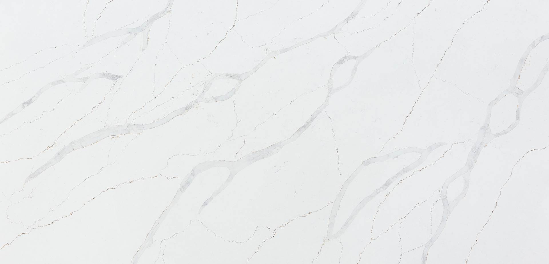 Calacatta Quartz