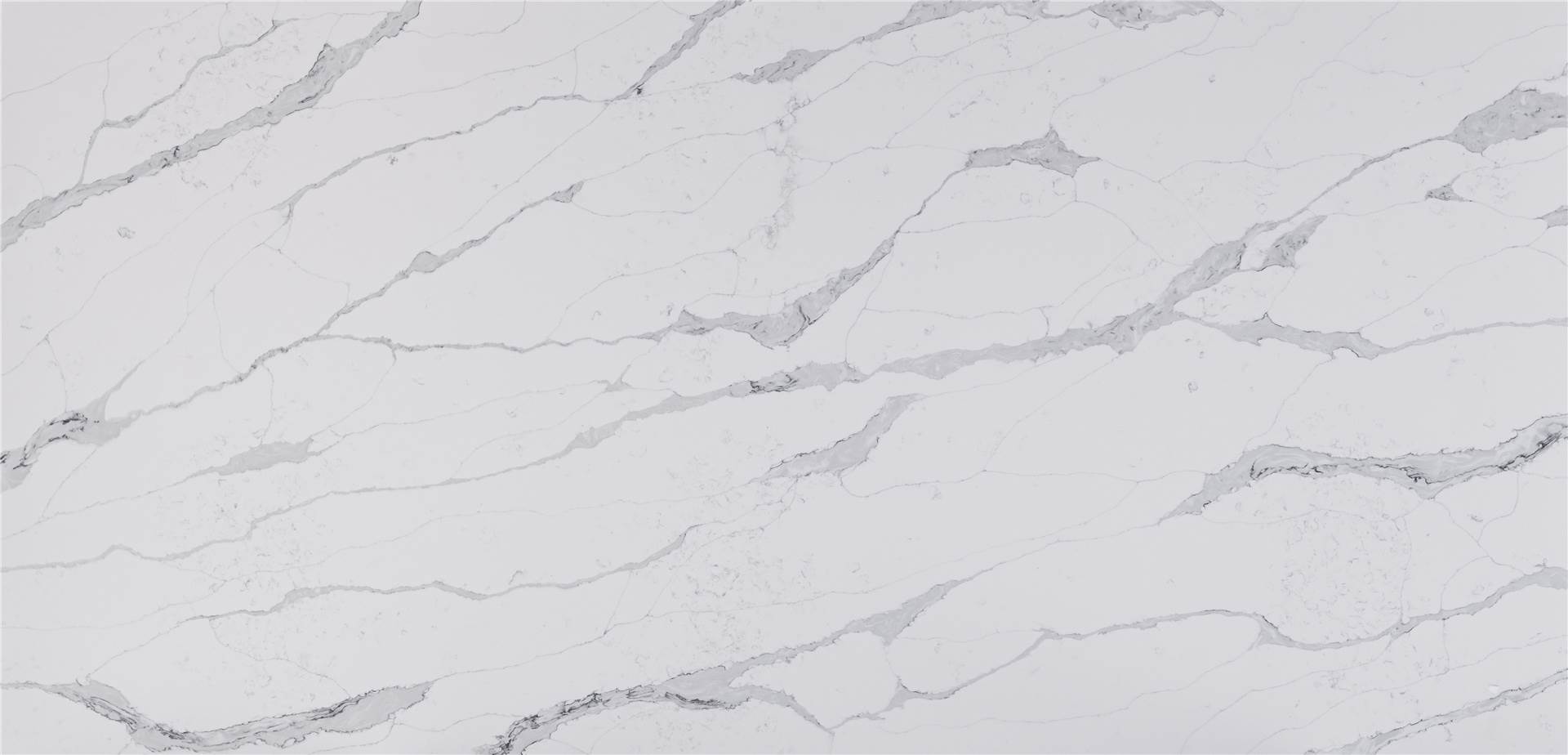 Calacatta Quartz