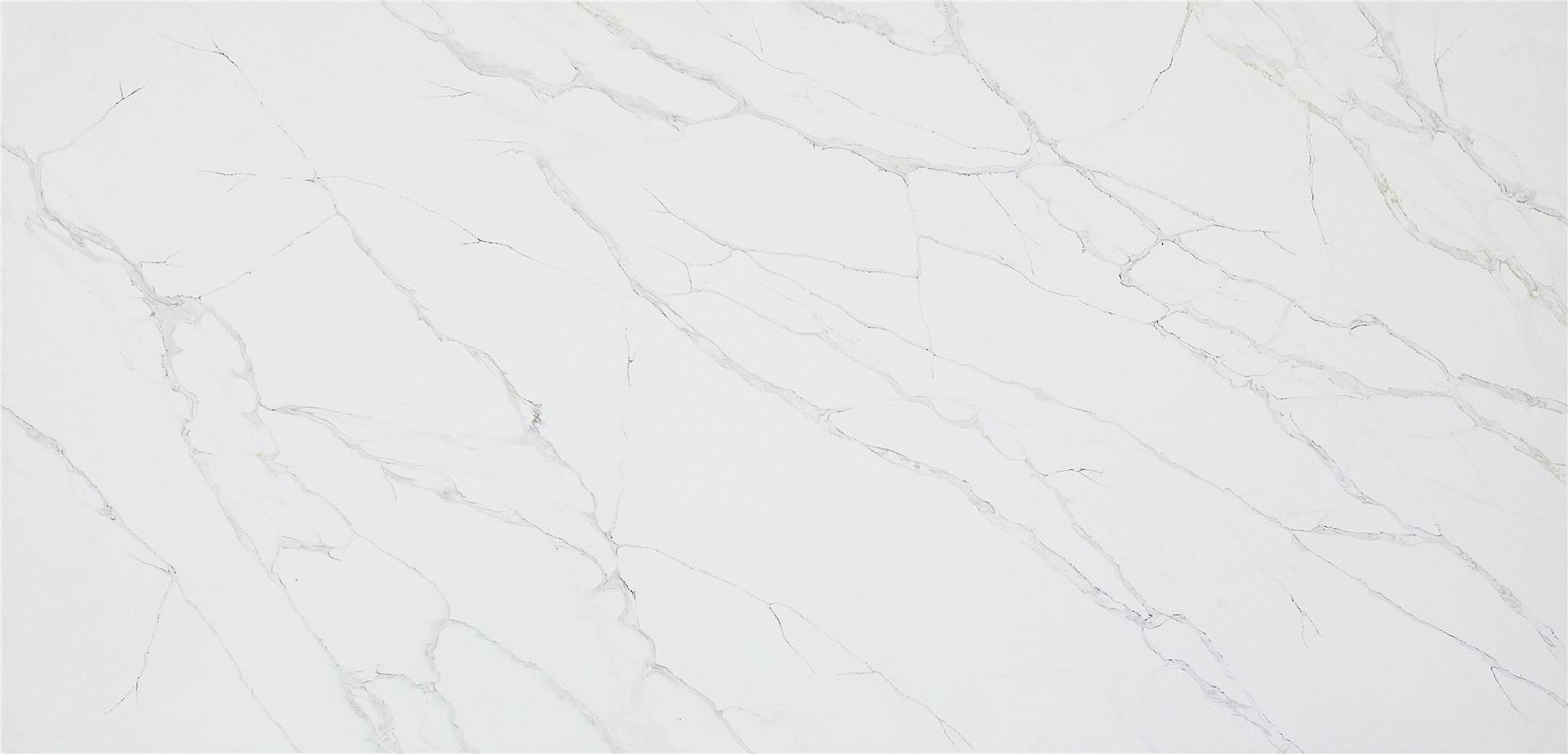 Calacatta Quartz
