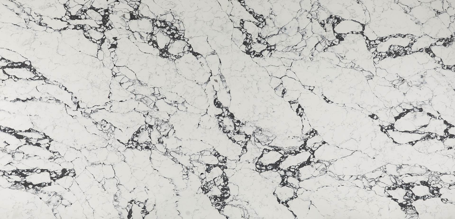 Calacatta Quartz
