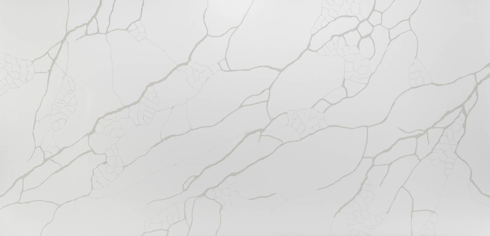 Calacatta Quartz