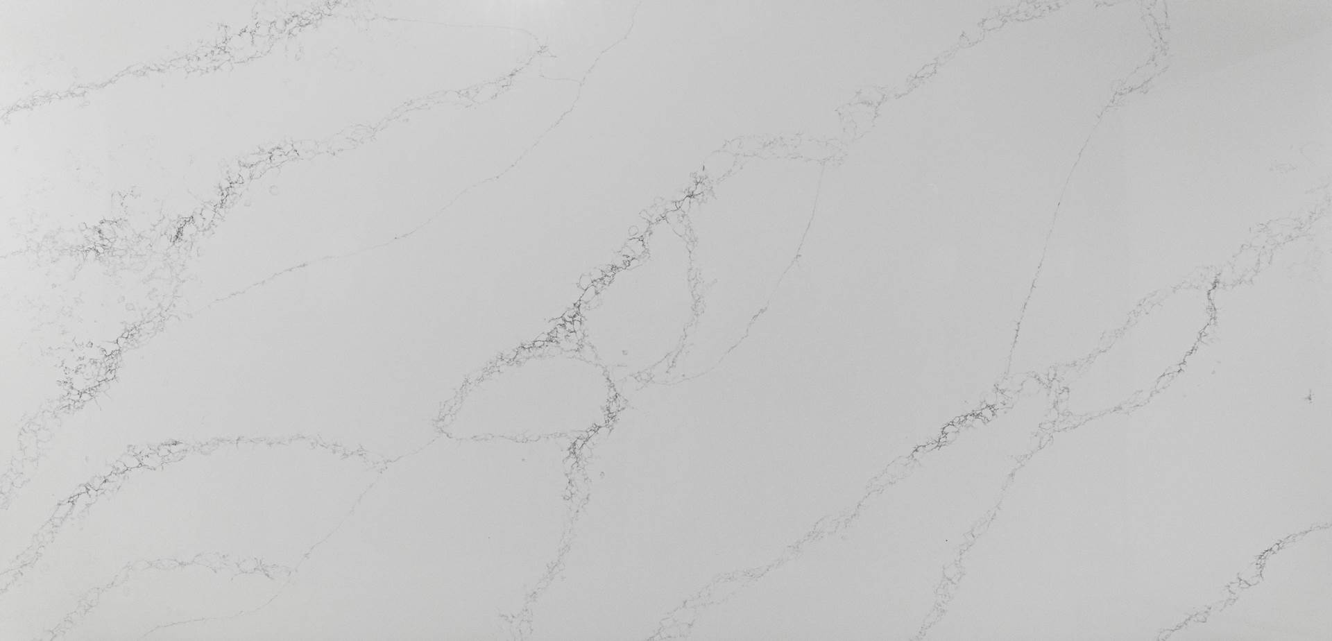 Calacatta Quartz