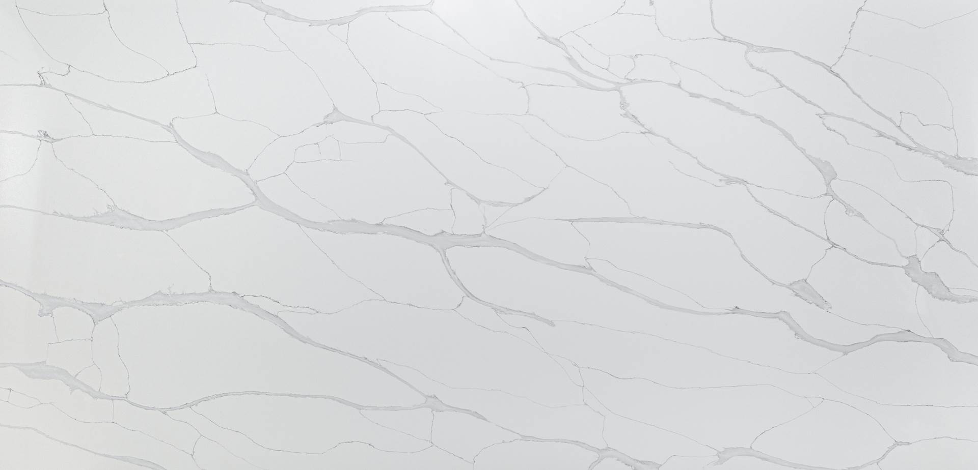 Calacatta Quartz