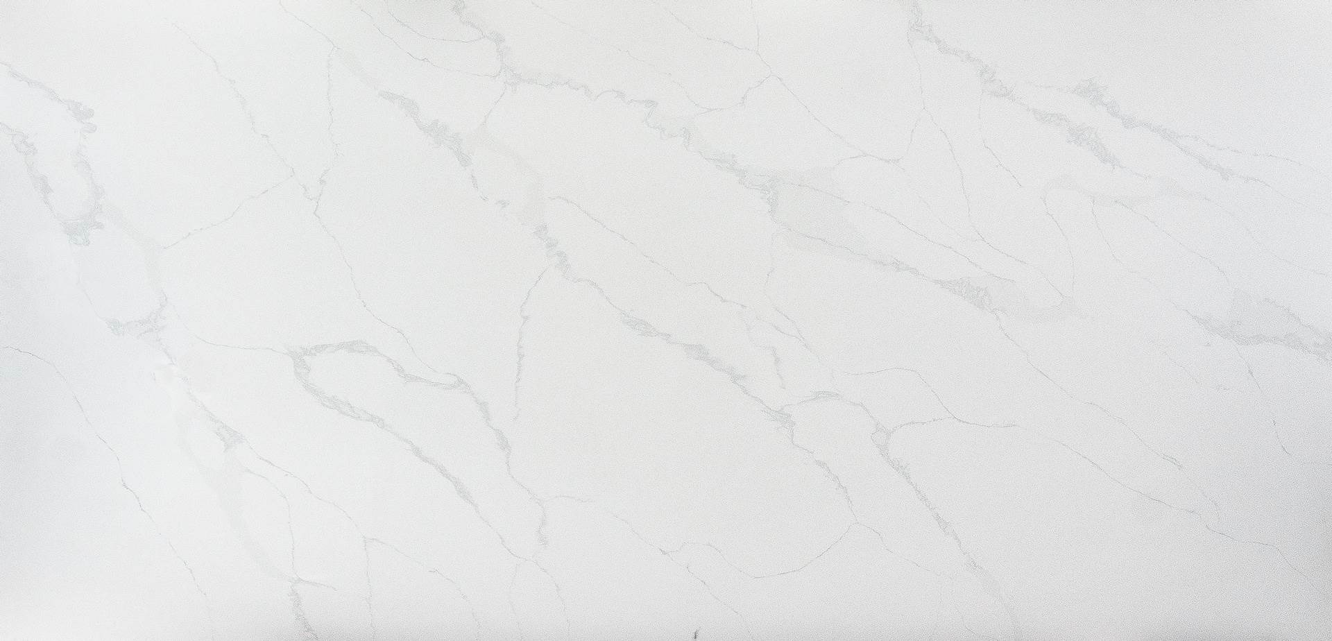Calacatta Quartz