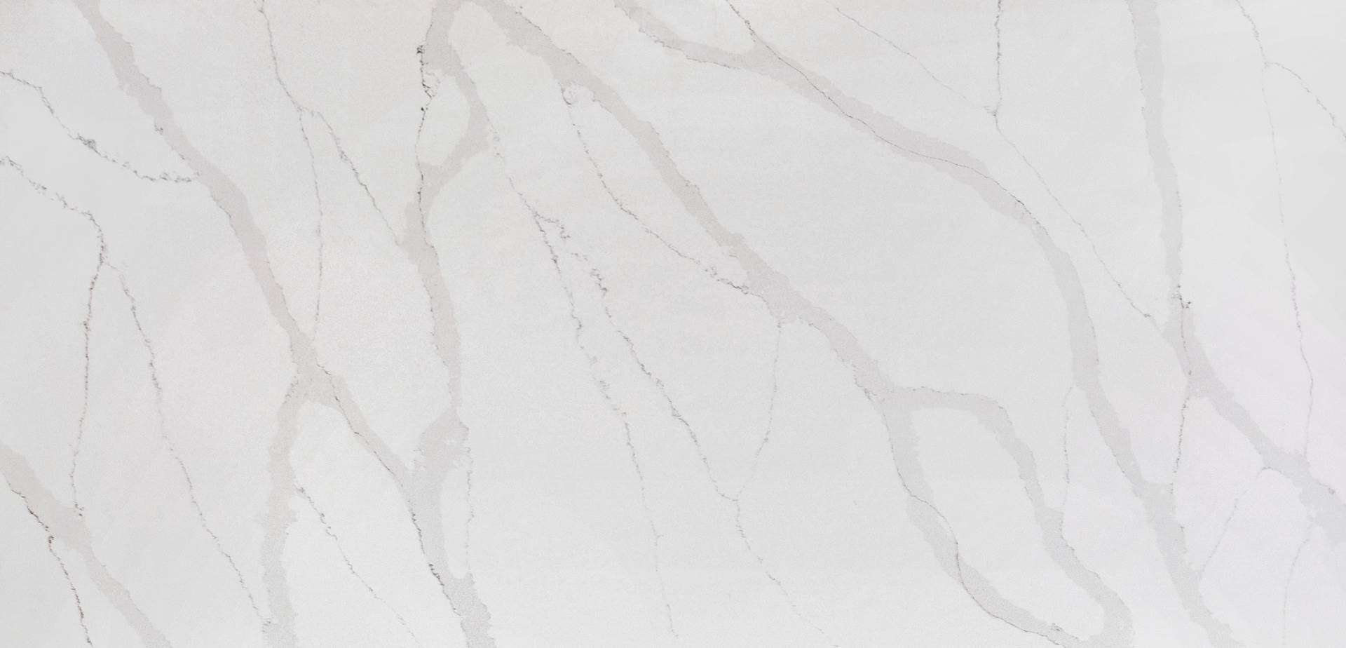 Calacatta Quartz