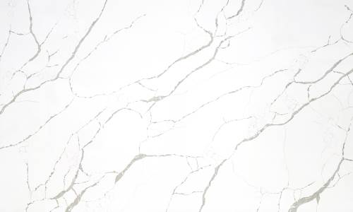 Lhasa White