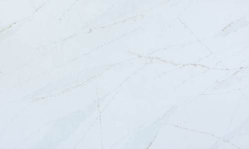 White Calico