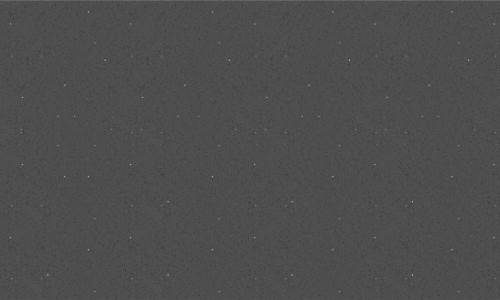 Cosmos Grey