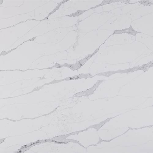 White Steller