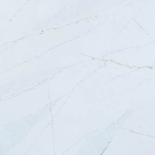 White Calico