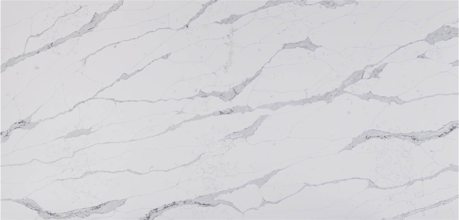 White Steller
