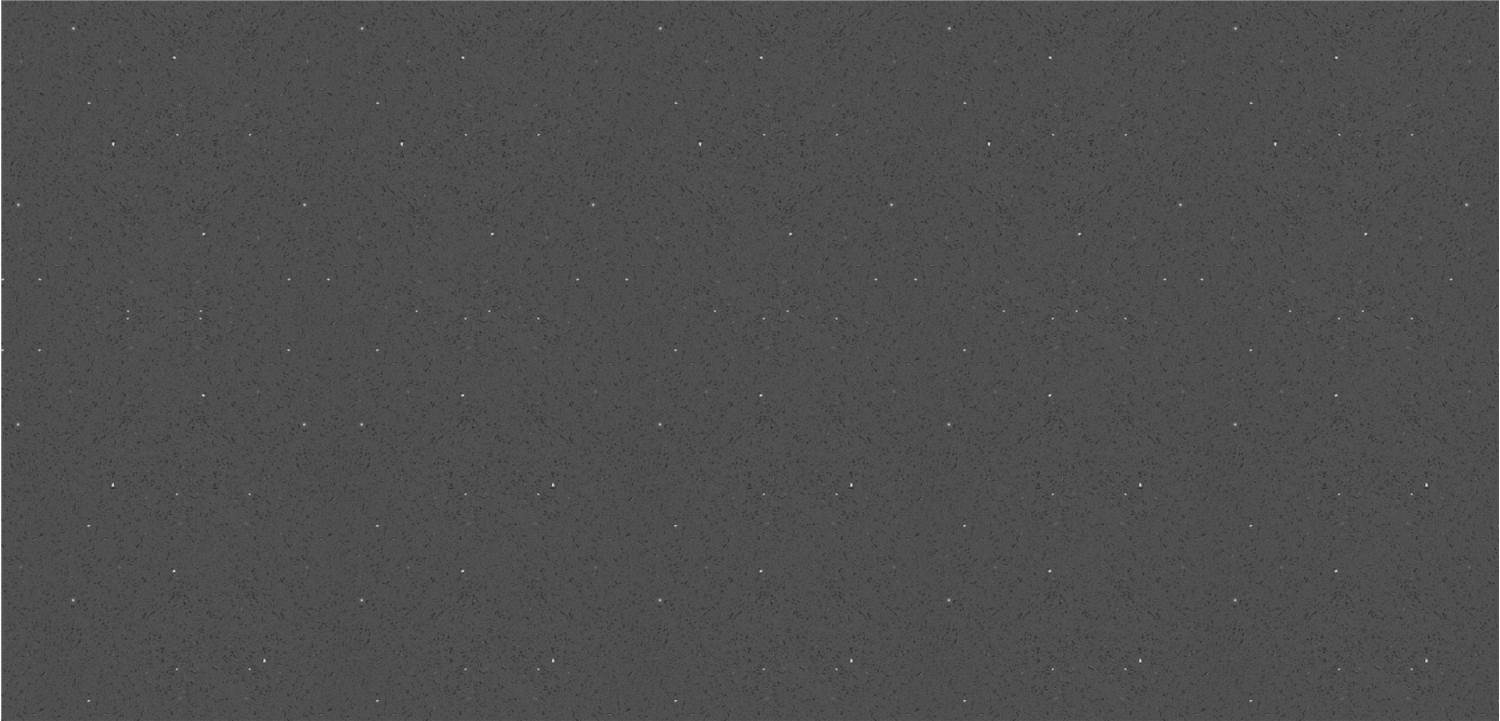 Cosmos Grey