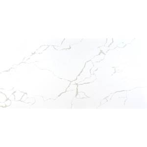 Savio White