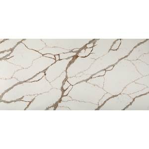 Pardo White